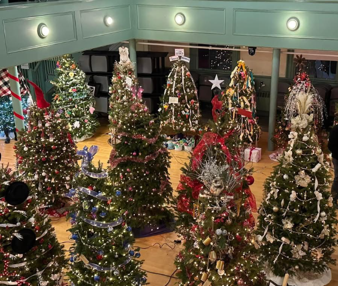 Decorated Christmas trees 